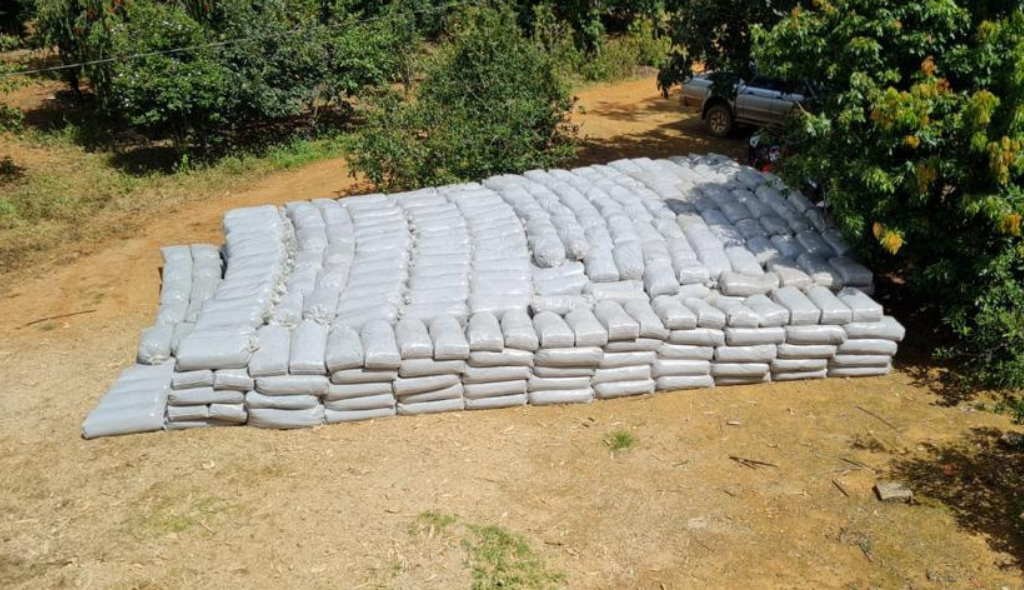 Sacos de silagem de cor branca empilhados em campo