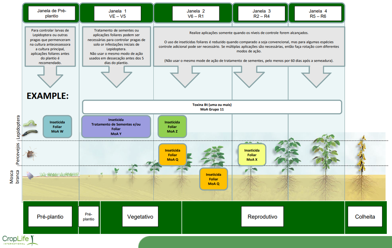 Recomendações de manejo antirresistência de soja Bt, no controle de lagartas da soja