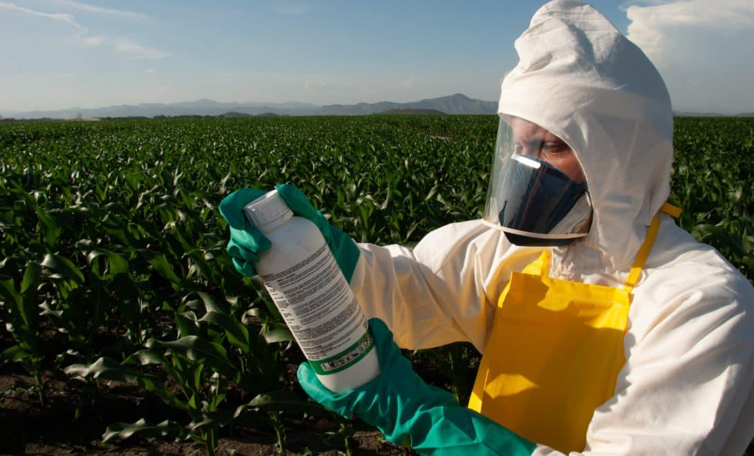 Homem com EPIs manuseando frasco de produto fitossanitário em campo de milho