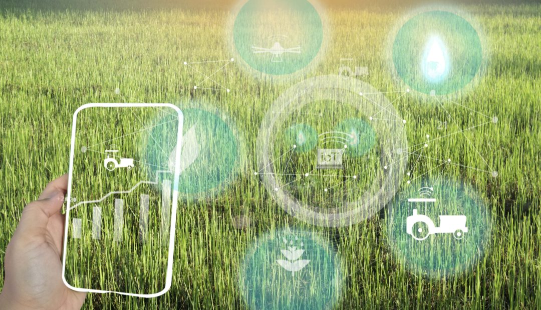 Importância, desafios e dicas sobre a segurança cibernética no agro