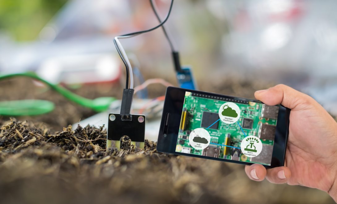 Pessoa segurando celular com informações de sensores de umidade de solo, próximo aos equipamentos