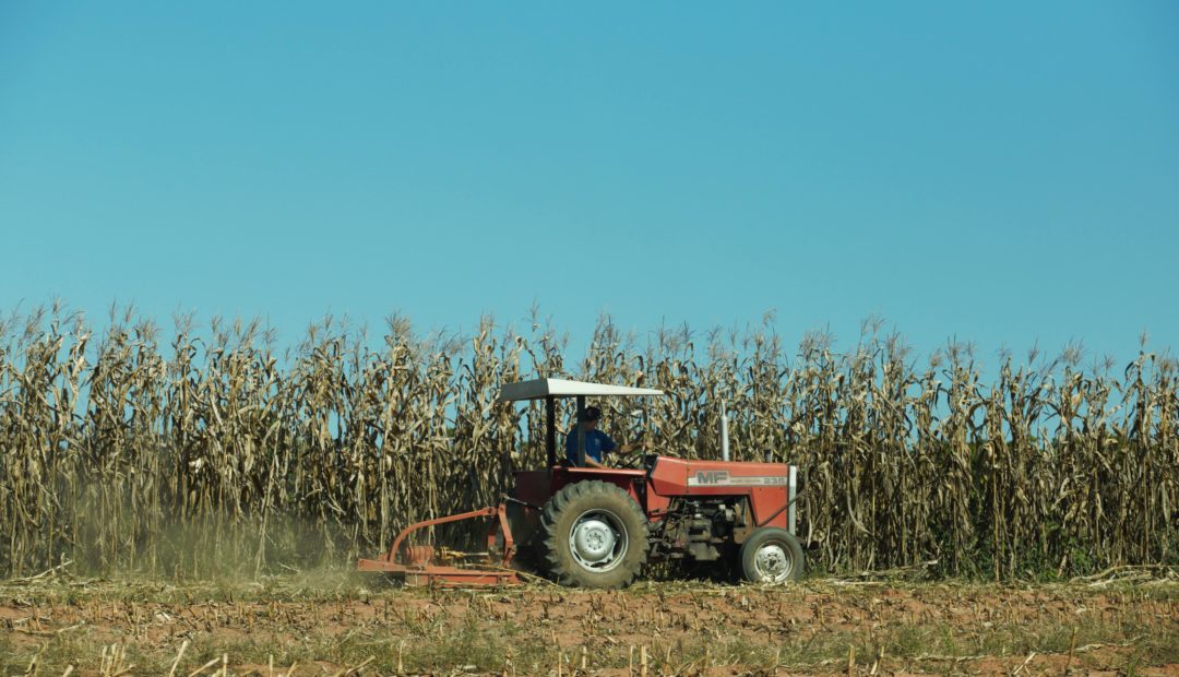 Importância e benefícios da roçadeira na agricultura, pecuária e em áreas urbanas