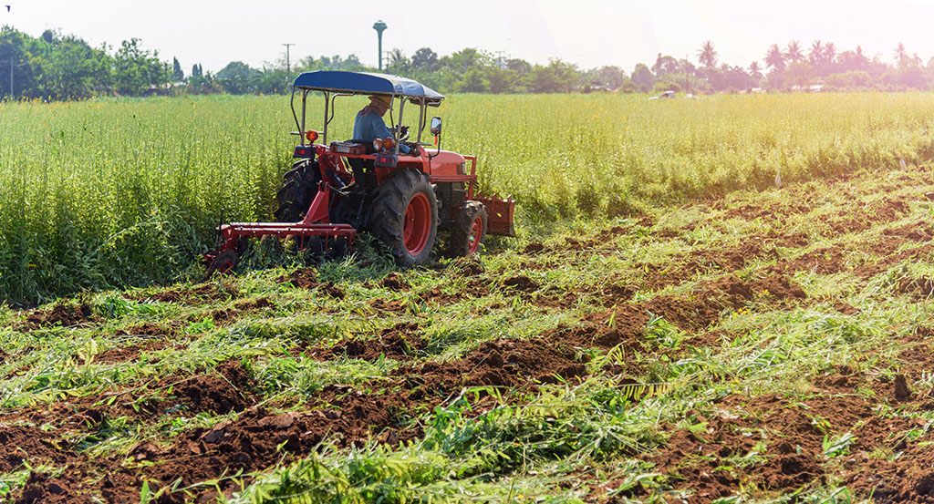 Trator arando área com plantas utilizadas como adubo verde