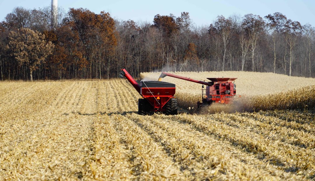 Utilização e benefícios da carreta graneleira na agricultura