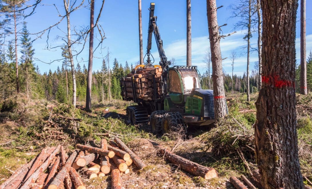 Forwarder operando em campo de eucalipto