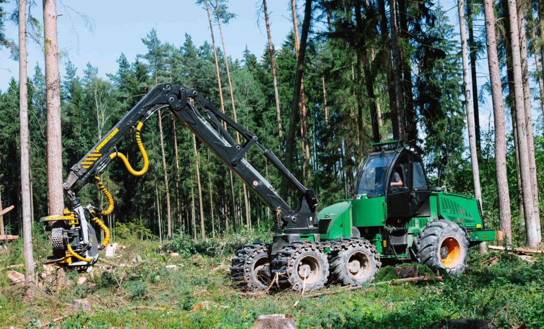 Harvester operando em campo de eucalipto