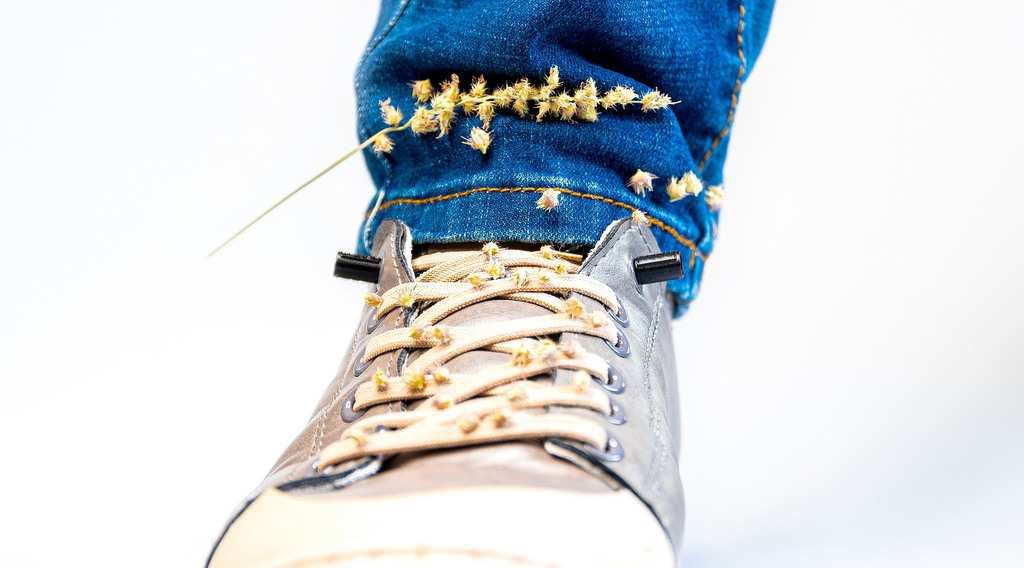 Capim-carrapicho grudado em tênis e calça jeans