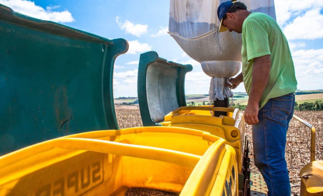 Homem em plataforma de semeadora guiando bag levantado por big bag no abastecimento da semeadora