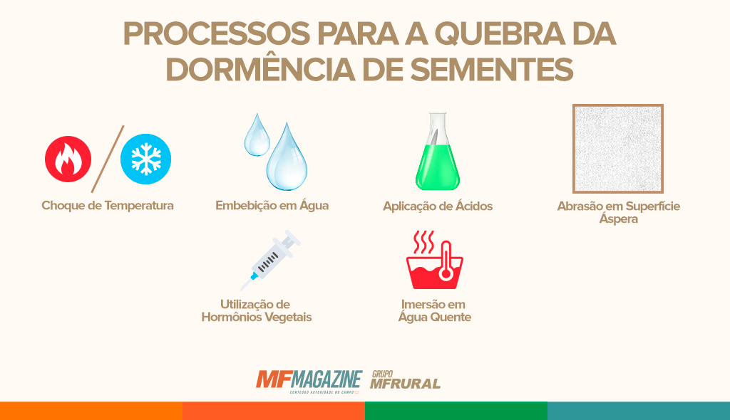 Infográfico demonstrando os processos para a quebra de dormência das sementes, como temperatura, embebição em água, aplicação de ácidos, abrasão em superfície áspera, utilização de hormônios vegetais e imersão em água quente