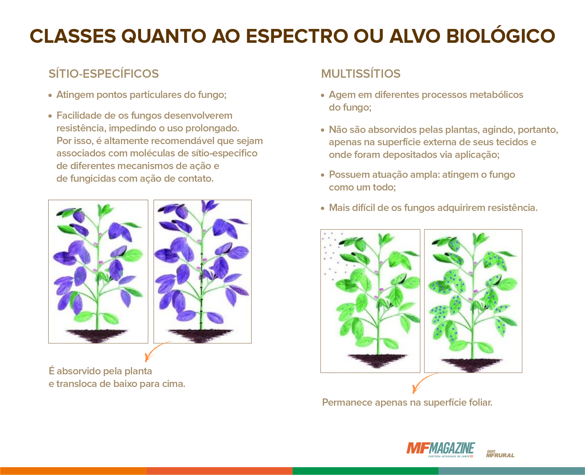 Comparativo entre fungicidas em relação ao aspecto ou alvo biológico, com duas colunas contendo as diferenciações entre eles e o modo de ação representado por meio de uma imagem abaixo de cada tópico