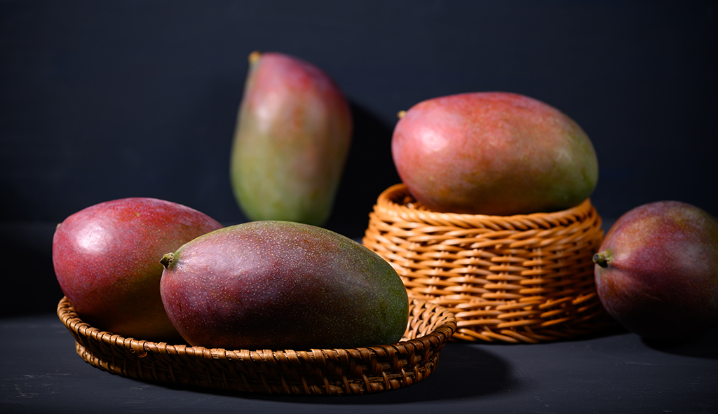 Mangas da variedade Palmer em cestas. Os frutos apresentam coloração verde e arroxeada