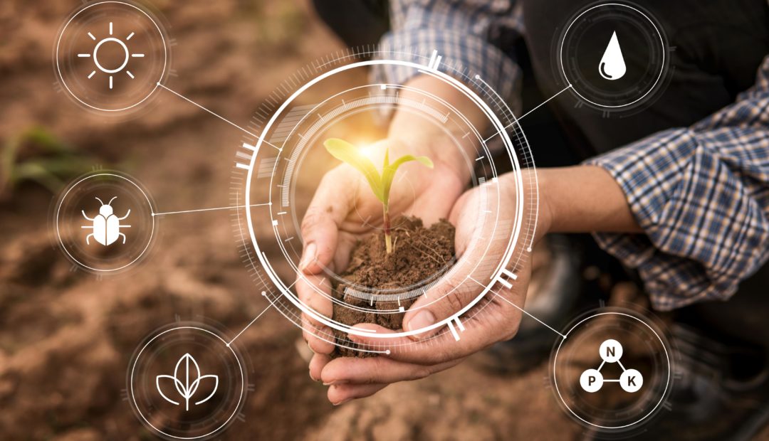 Adoção de práticas e tecnologias de agricultura de precisão em pequenas propriedades rurais