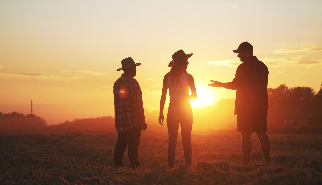 Dois homens e uma uma mulher conversam sobre parceria no campo ao pôr do sol