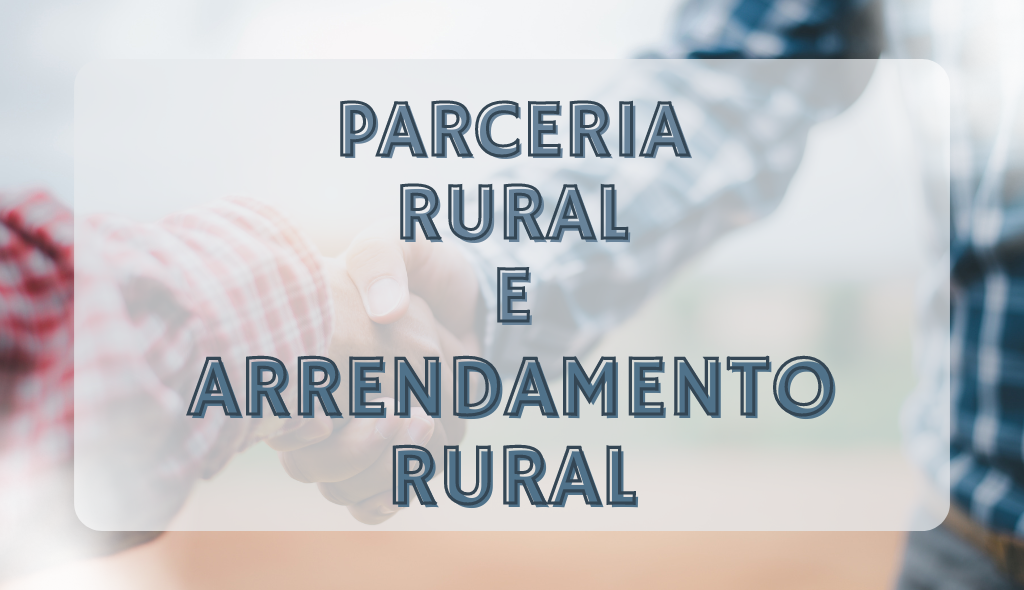 Parceria X Arrendamento Rural: qual contrato devo escolher?