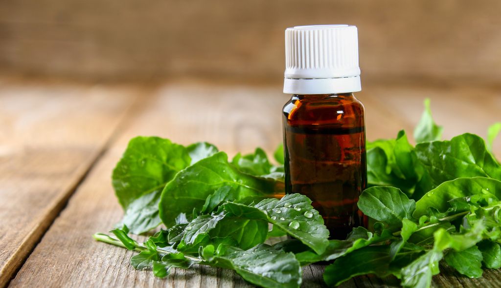 A rúcula é rica em vitaminas A, C e K, além de minerais como cálcio, ferro e potássio