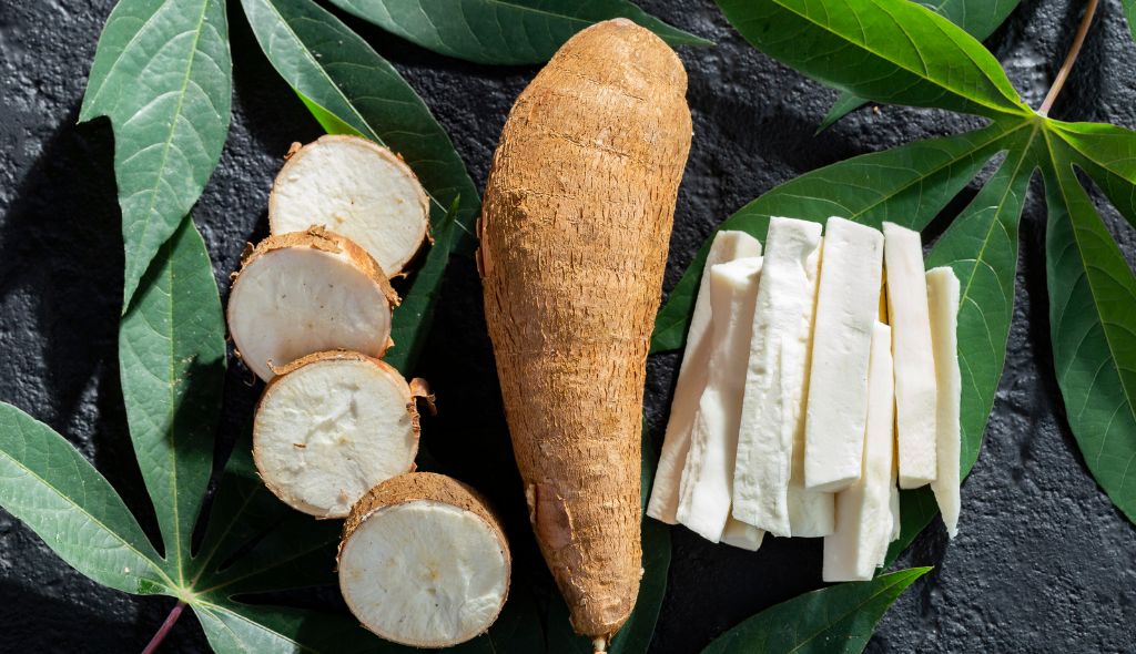 Amostra de mandioca brava sobre as folhas da planta: em rodelas, inteira e em palitos.