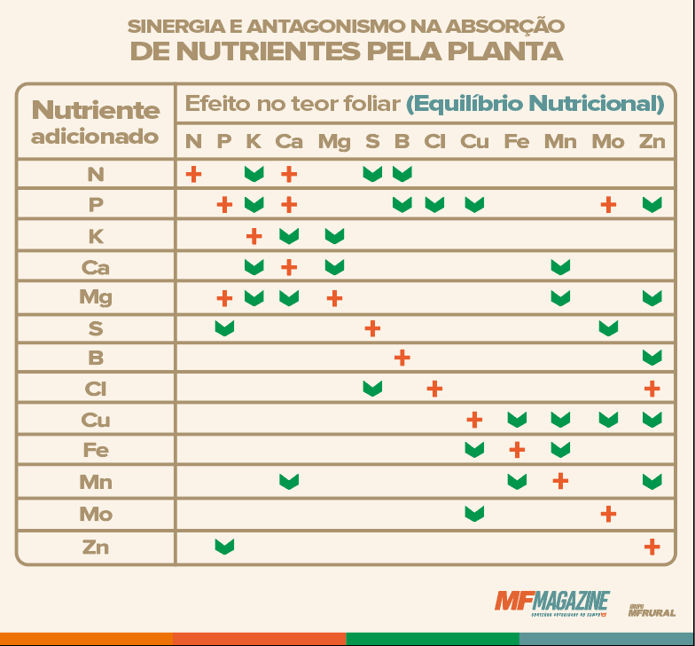 Quadro de sinergia e antagonismo na absorção de nutrientes pela planta