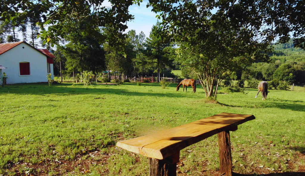 Imagem de uma pequena propriedade rural com casa simples, cavalos pastando e banco rústico sob as árvores em cenário de paz e natureza.