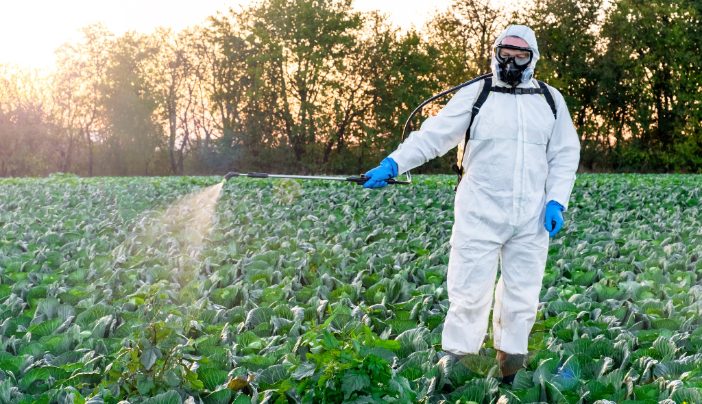 EPIs no agro Trabalhador rural em meio à plantação aplica defensivos agrícolas utilizando pulverizador costal. Ele veste Equipamentos de Proteção Individual (EPIs), incluindo macacão de proteção, luvas, botas, máscara respiratória e óculos, garantindo segurança durante a atividade. Ao fundo, há uma lavoura verde e árvores sob a luz do entardecer.