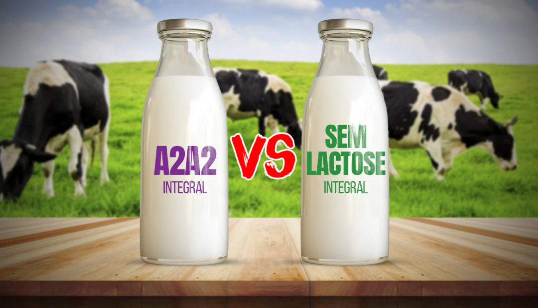 Leite A2A2 e leite sem lactose: entenda a diferença
