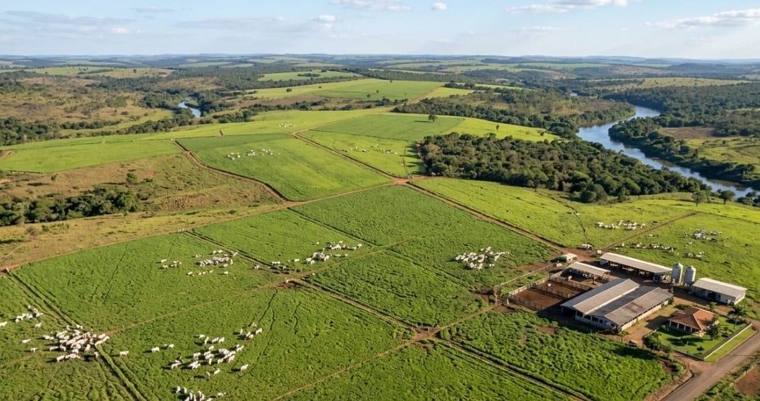 Foto aérea de uma fazenda mostrando