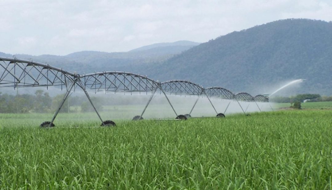 Lavoura com irrigação por pivô